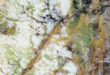 Polished Green-White Opal Slab - Western Australia #65407-1